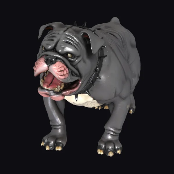 Aggressive English Bulldog