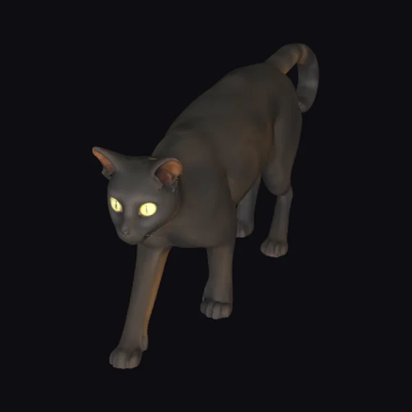 Black Feline Creature