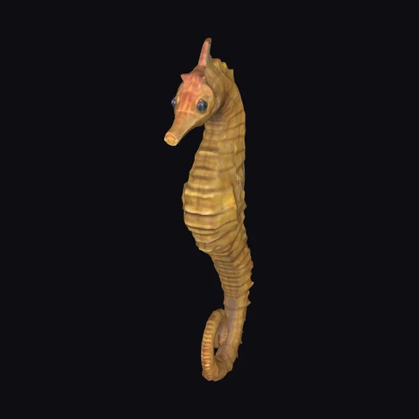 Detailed Golden Seahorse