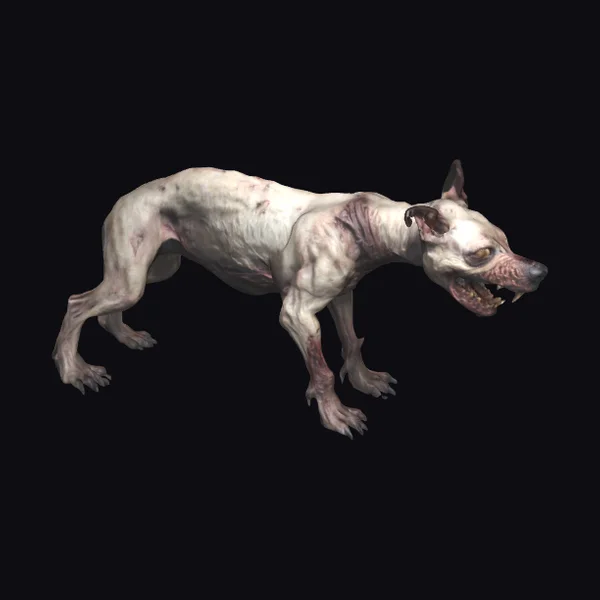 Zombie Dog