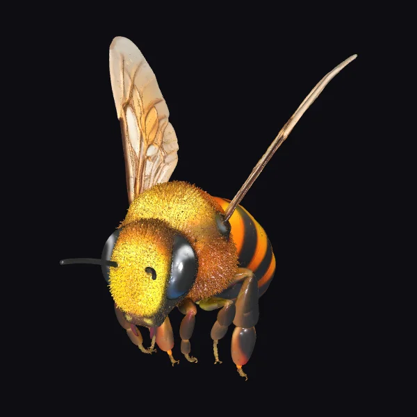 Bee in Flight