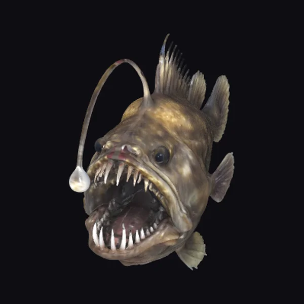 Fierce Anglerfish Head