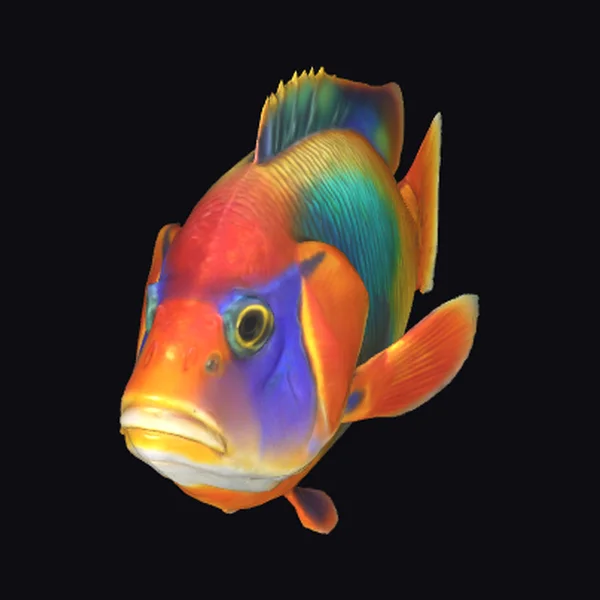 Vibrant Tropical Fish