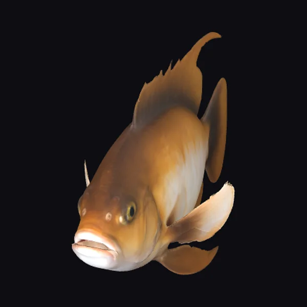 Brown Fish with Clay