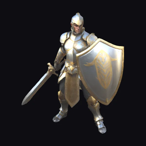 Silver and Gold Paladin