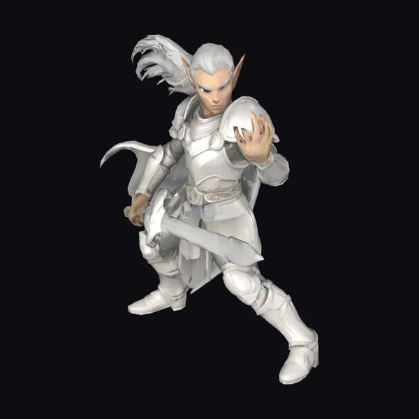 Elf Paladin Warrior