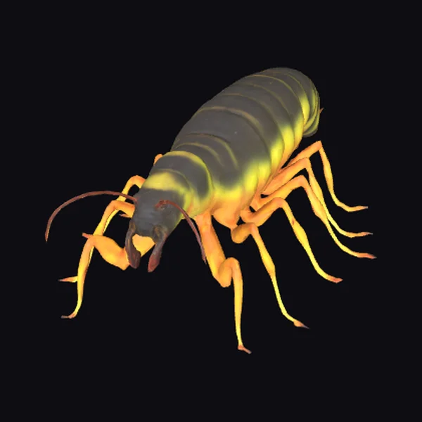 Yellow Centipede Creature