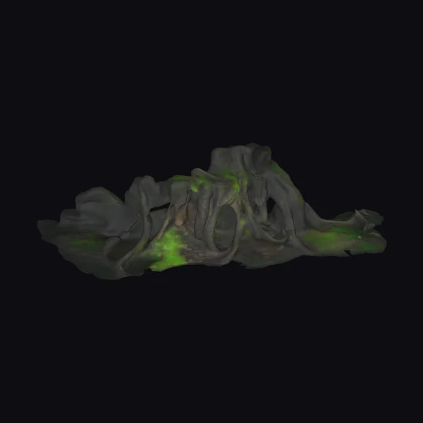 Overgrown Rocky Cave Entrance