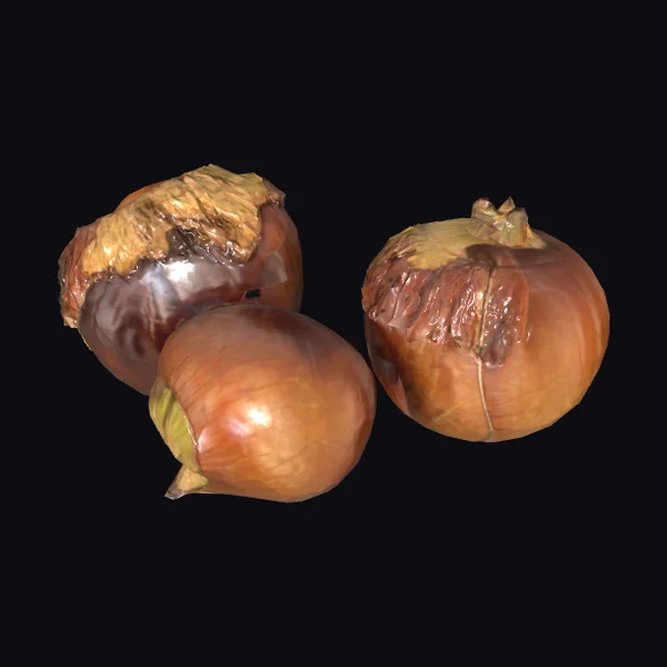 Three Brown Chestnuts