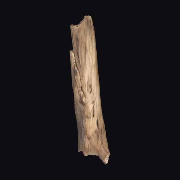 Weathered Driftwood Plank
