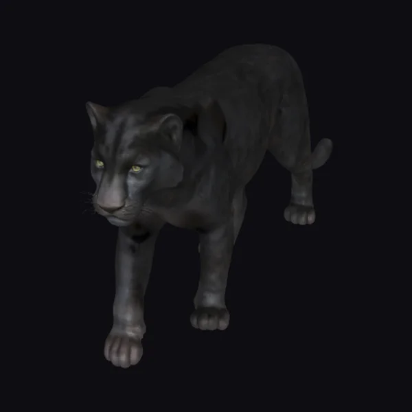 Black Panther Walking