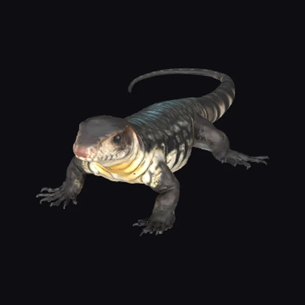 Black Scaly Lizard Creature