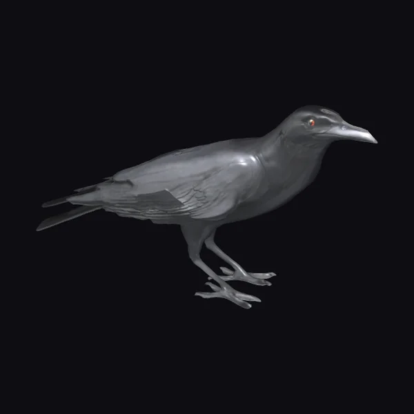 Black Bird in Motion