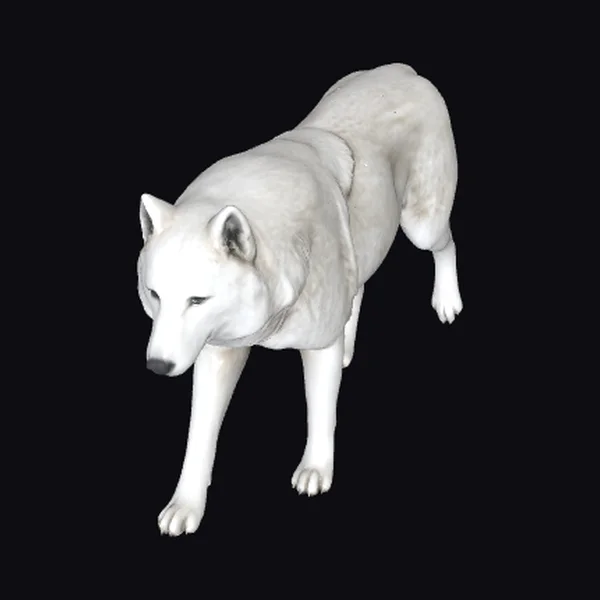 White Wolf