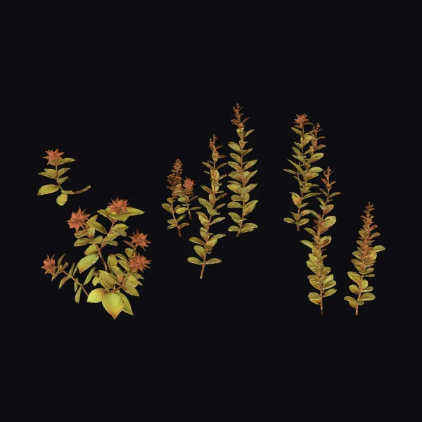 Autumn Foliage Stems