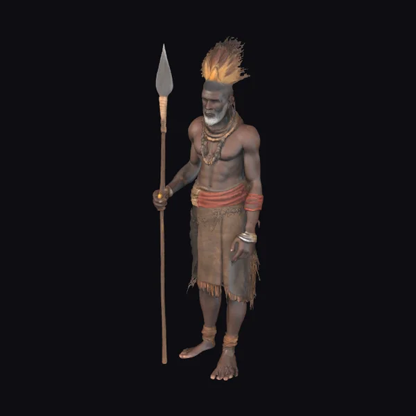 African Tribal Warrior
