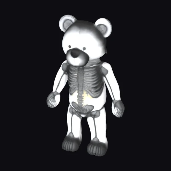 X-Ray Teddy