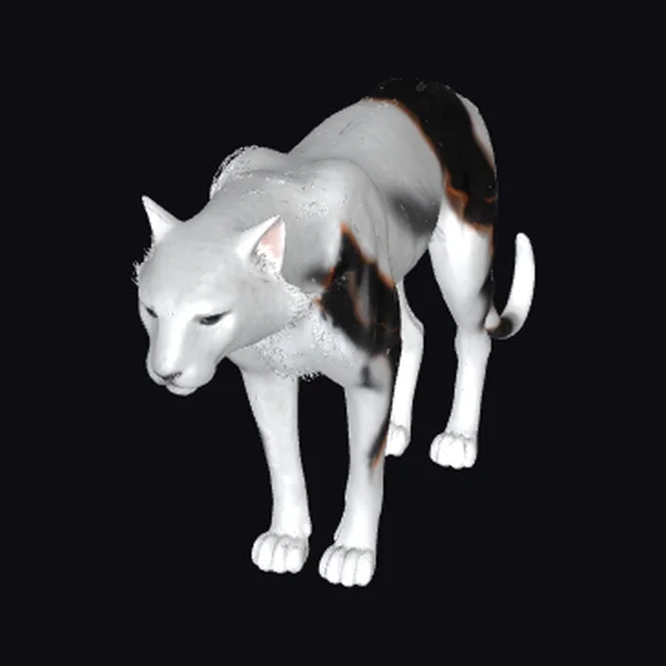 White Wolf with Spots