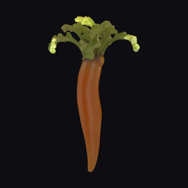 Bent Glass Carrot