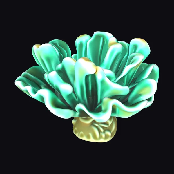 Turquoise Coral Bloom