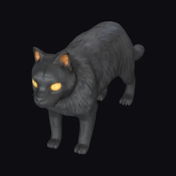 Black Maine Coon Cat