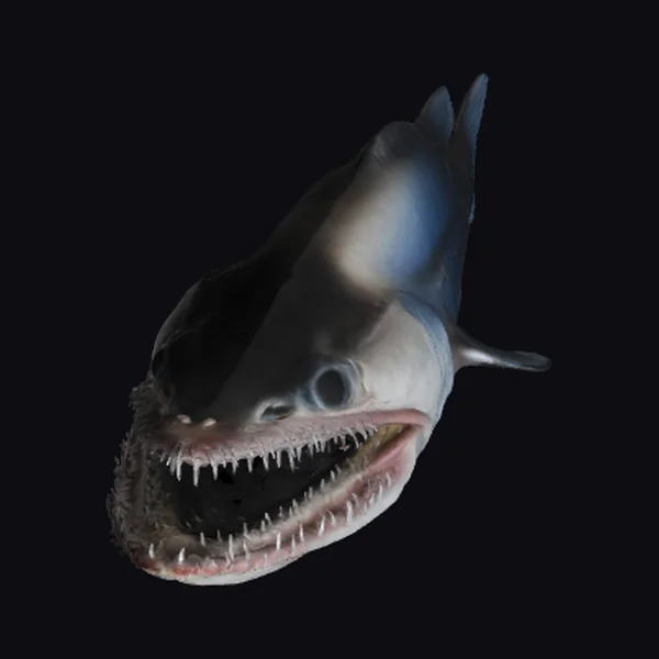 Fierce Anglerfish Head