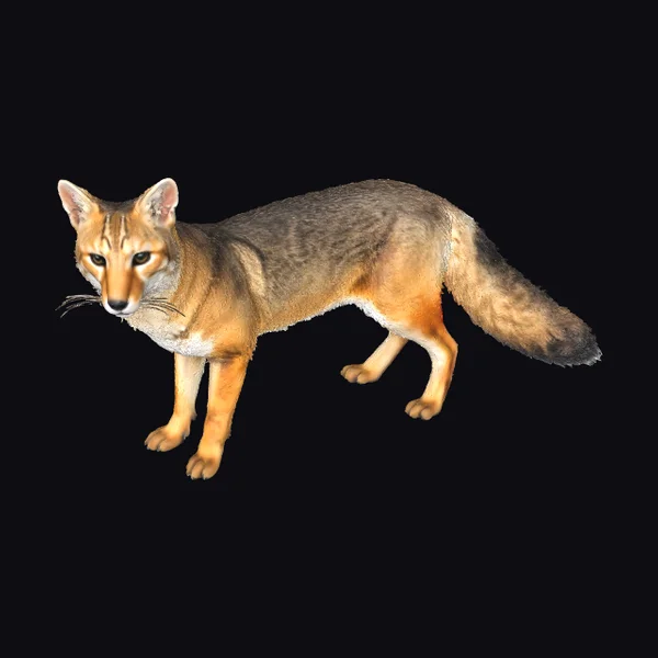 Wild Orange Fox Creature