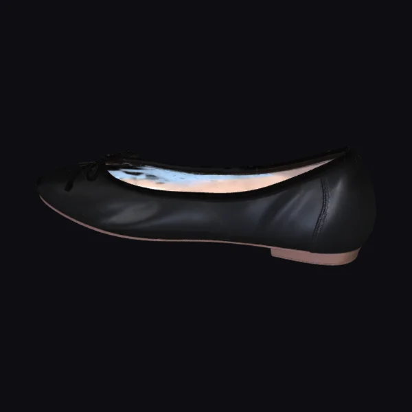 Black Ballet Flat Shoe