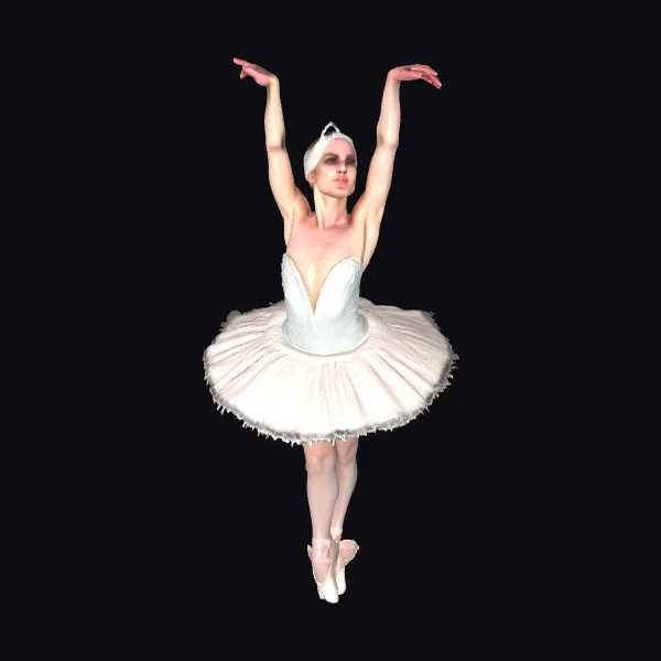 Elegant Ballerina Pose