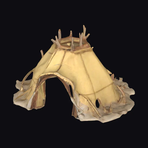 Ancient Animal Hide Shelter