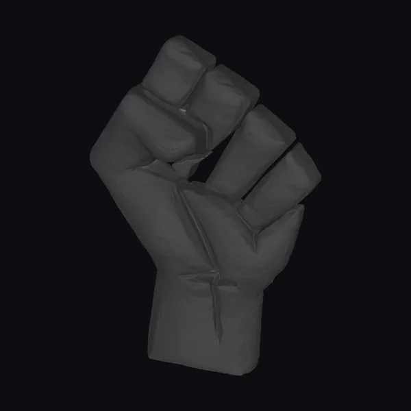 Black Boxing Glove