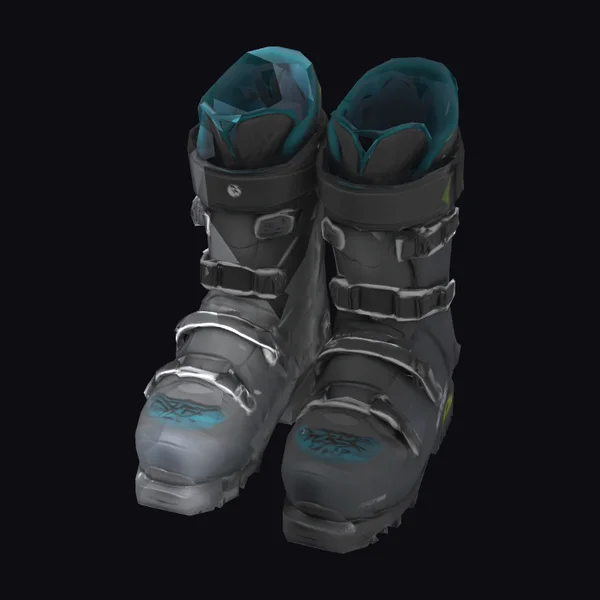 Gray Ski Boots