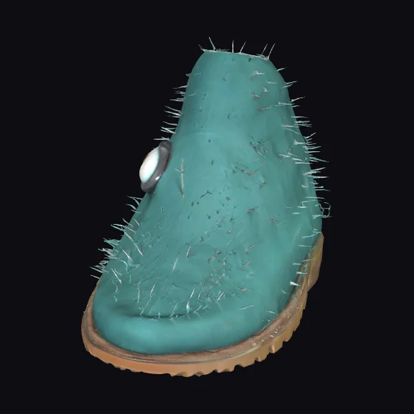 Cactus Boot