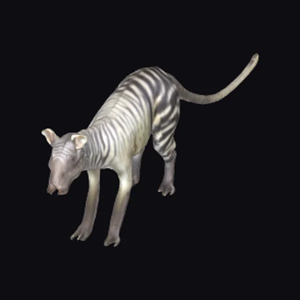 Zebra-like Extinct Mammal