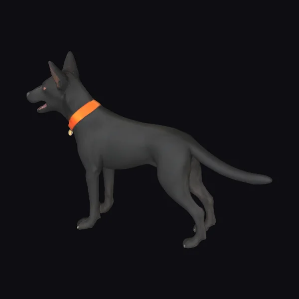 Black Dog with Collar