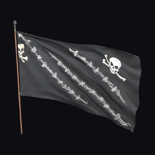 Black Skull Flag