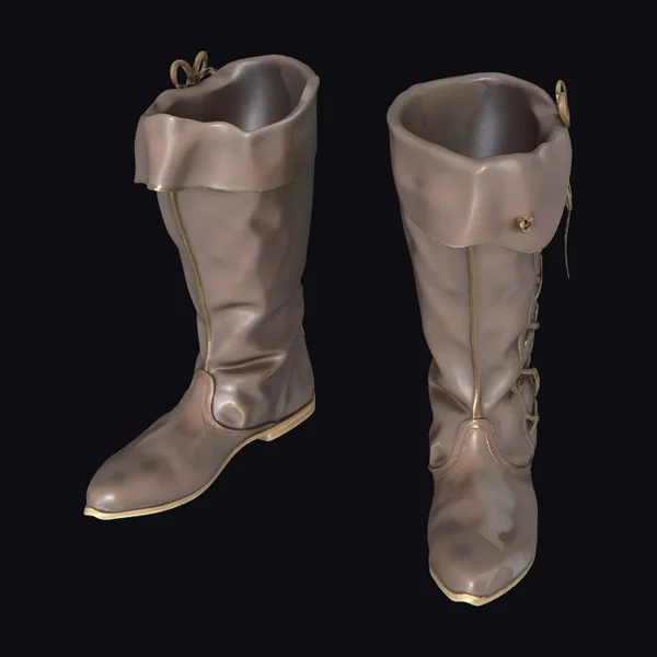 Brown Leather Knee Boots