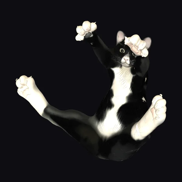 Black Cat Waving Paw