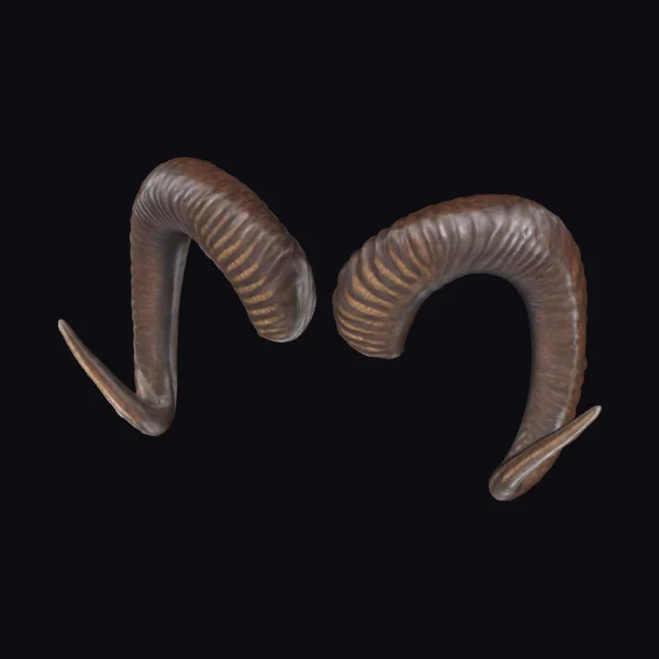 Brown Ram Horns