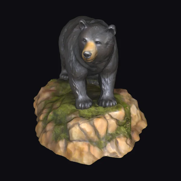 Bear on Rocky Outcrop