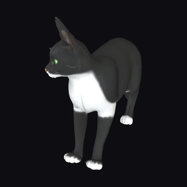 Black and White Feline