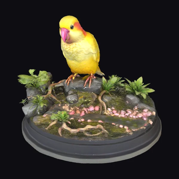 Yellow Parrot on Rock