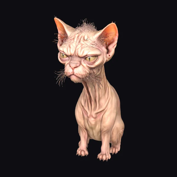 Wrinkled Sphynx Cat