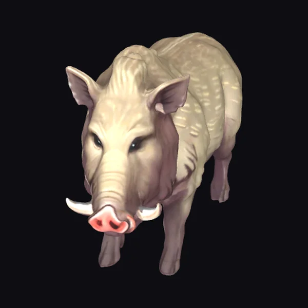 Wild Boar with Tusks