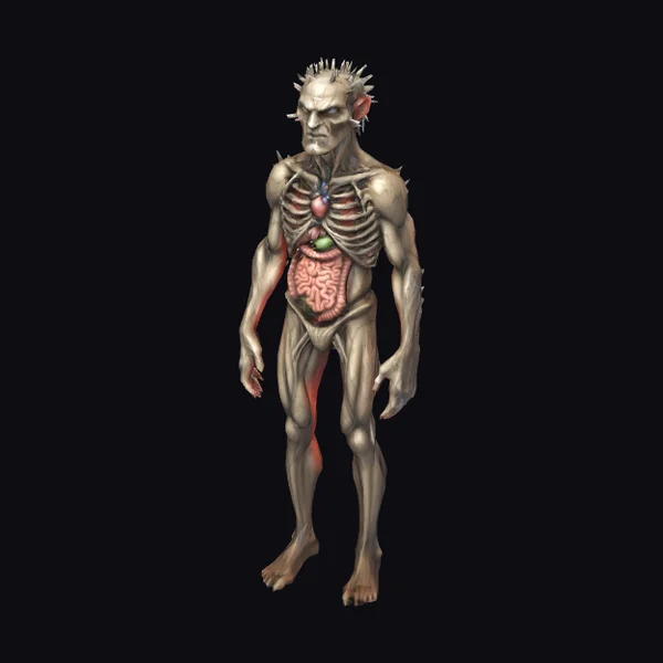Anatomical Zombie Figure