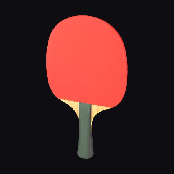 Table Tennis Paddle