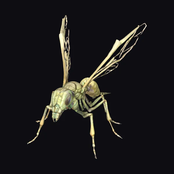 Skeletal Wasp Insect