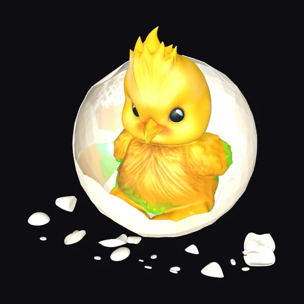 Baby Chicken Hatches Egg