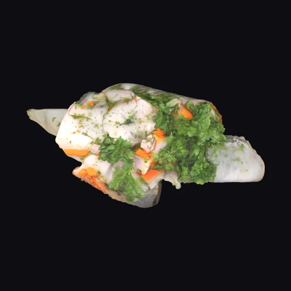 Wrapped Sushi Delight