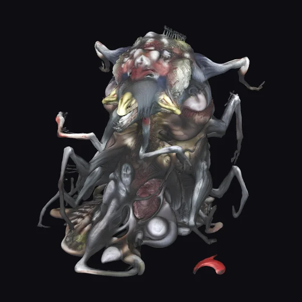 Grotesque Tentacled Creature Head